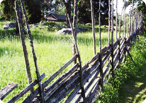 Gärdesgård